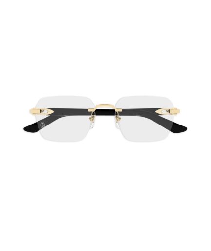 Cartier Geometric Sunglasses- Transparent/Black